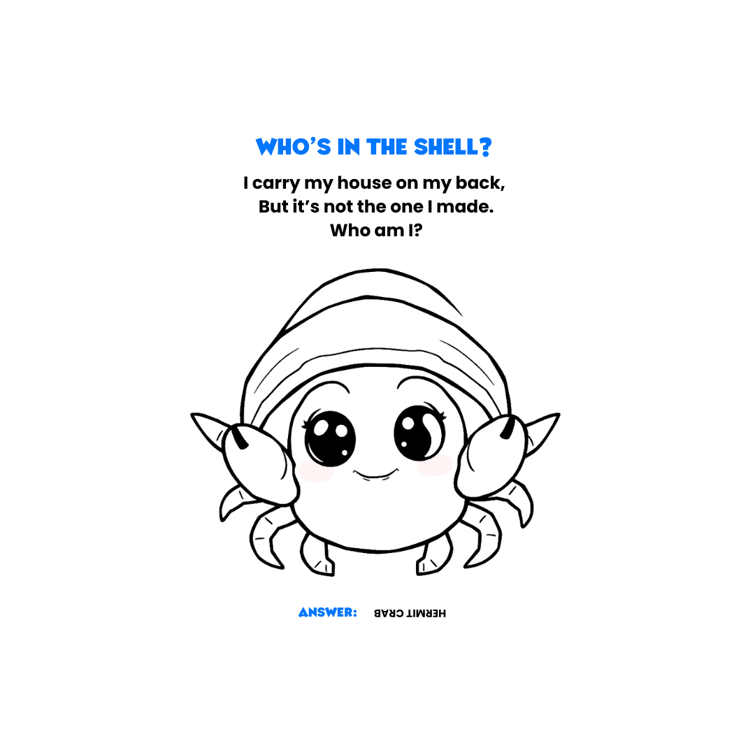 Learn how to protect marine life in Malta